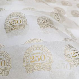 250 America