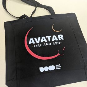 Avatar Canvas back