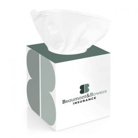 Branded tissue cube