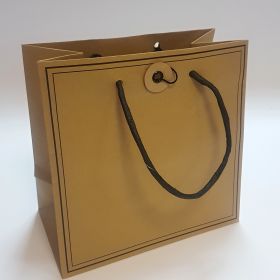 Brown kraft bag twisted handles