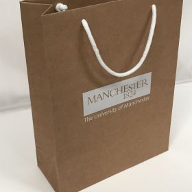 Brown Kraft bag