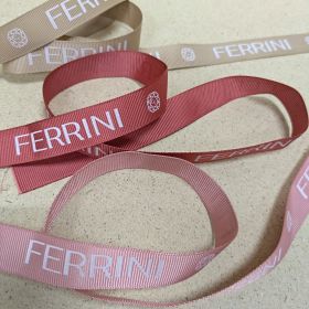 Casa Ferrini