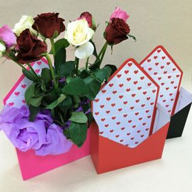 Envelope style display box