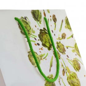 Laminated Bags with Rope Handles