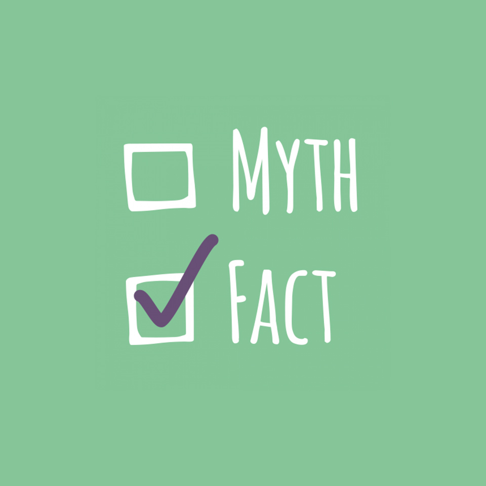 Myths and Facts Download