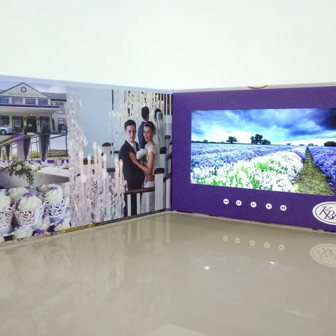 Video Brochures